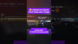 ЭТО ПОЧТИ НЕВОЗМОЖНО 🤯стандофф2 standoff2 голда раздачаголды so2 [upl. by Shelah35]