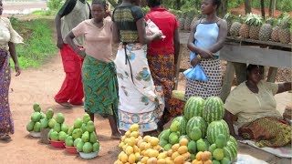 Sustainable African agriculture putting smallholder farmers at the centre of CAADP processes  2014 [upl. by Sandor]