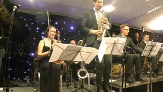 quotSOMEDAY SWEETHEARTquot THE SEAGOON SERENADERS at WHITLEY BAY Nov 8 2015 [upl. by Still]