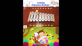 LULLABY CANCION DE CUNA🎶 Canciones en Xilófono  songs on xylophone shorts [upl. by Ailed]