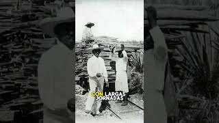 3 fotos que debés conocer del México antiguo  Oficios historia mexicoantiguo mexico [upl. by Damian]