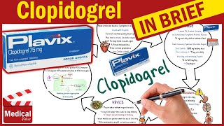 Clopidogrel  Plavix 75 mg  What is Clopidogrel Used For Dosage Side Effects amp Precautions [upl. by Salvay]