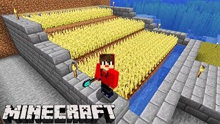 Minecraft DUPLA SURVIVAL  PRIMEIRA PLANTAÇÃO AUTOMÁTICA 23 [upl. by Luhe]