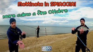 In spiaggia in una calda mattinata di fine Ottobre [upl. by Rusty537]