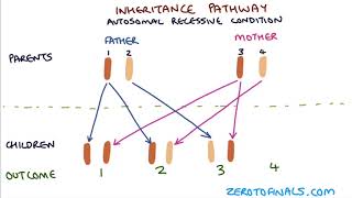 Understanding Autosomal Dominant and Autosomal Recessive Inheritance [upl. by Areivax]