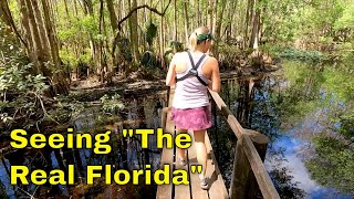 Exploring Highlands Hammock State Park [upl. by Luaped]