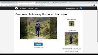 How to use gravatar in wordpress  how to create gravatar wordpress 2023 On EVMOJ [upl. by Piggy]