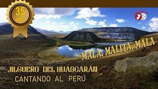 Jilguero del Huascarán  Mala Malita Mala Visualizer Oficial [upl. by Ketchum428]