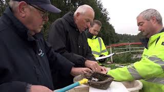 Herfstbloeiers in waterwingebied AnnenBreevenen  ROEG uitzending [upl. by Chick]