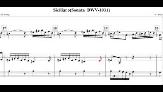 SicilianoFlute Sonata BWV1031JS Bachfor String [upl. by Namrac398]