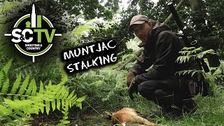 Shooting amp Country TV  Deer management with Chris Rogers 4  Muntjac stalking [upl. by Pacorro]