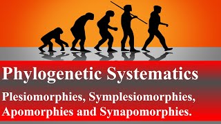 Phylogenetic Systematics Plesiomorphies Symplesiomorphies Apomorphies and SynapomorphiesLesson 6 [upl. by Nhguavahs]