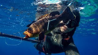 My first time Spearfishing in the Mediterranean Sea  PONZA ITALY [upl. by Aicercal]