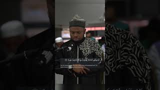 Shiekh Okasha Kameny Quran Recitation [upl. by Tippets]