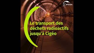 Le transport des déchets radioactifs  lacheminement [upl. by Ziegler]