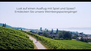 Entdecken Sie die Waadtländer Weinbergspaziergänge [upl. by Posner]