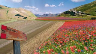 PIANA DI CASTELLUCCIO DI NORCIA Tutto quello che devi sapere [upl. by Scheld]