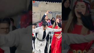 halparke kurdishdance dance [upl. by Maryann]