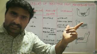 Spread of infection from mandibular teeth [upl. by Atnom477]