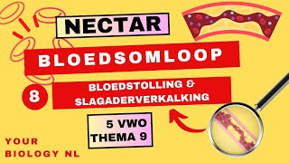 5 vwo  Bloedsomloop  8  Bloedstolling en slagaderverkalking [upl. by Philemol]