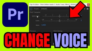 How To CHANGE VOICE In Premiere Pro FULL GUIDE 2024 [upl. by Seek]