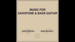 Sam Gendel amp Sam Wilkes  Boa [upl. by Atinaujnas]