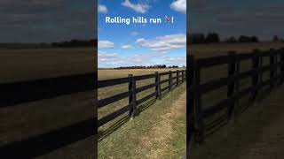 NYC TCS Marathon  rolling hills preparation marathon coaching motivation reels shorts running [upl. by Bertine]