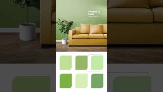 Light green colour shade for living room  dailyshorts shorts dkspainter [upl. by Yespmed48]