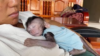 Small Baby Boy Tobai Sleep Hug Mom So Strong And So Much Warm [upl. by Lindemann]