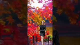 Basia Czołpińska  Kasztanycover dlaciebie youtubeshorts cover music subscribe song music [upl. by Nwahsed]