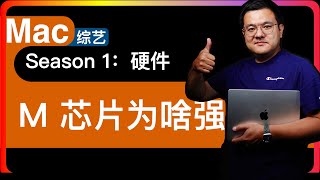 S1E3【Mac 硬件】Apple M 芯片为甚么能够异军突起，除了优秀的硬件设计，软硬一体的业内独特模式为硬件的同质化发展提供了最大的创造空间 [upl. by Yorgos561]