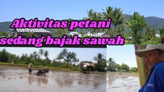 Petani bajak sawah keindahan persawahan Curup Chanel 03 [upl. by Reemas]