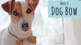 How to Make a Dog Bow Tie [upl. by Enattirb]