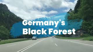 germanys Black Forest nature [upl. by Luar345]