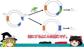 ブルーホワイトスクリーニングの原理【ゆっくり解説】 [upl. by Akirdnahs589]