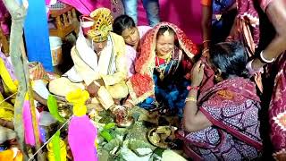 Odisha Sambalpur Marriage CeremonyMILIMITA weeds NARENDRA WEDDINGStyler Princemarriagevideo [upl. by Huntingdon]