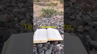 La Santa Biblia [upl. by Retsub]