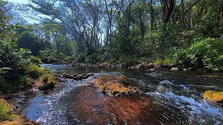 10 Hours Relaxing Nature Sounds  River Noise and Flowing Water Sounds for Sleeping [upl. by Rawdin]