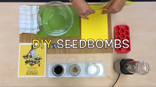 Seedbombs selber machen  DIY by The Body Shop® [upl. by Haiasi]