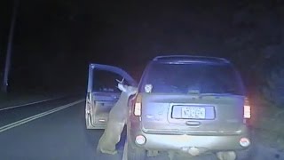 Watch Deer Try To Hop Into Car With Driver After Being Hit on Road [upl. by Miner]