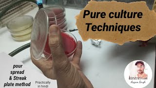 pure culture techniques practically in hindi  pour plate spread plate amp streak plate method [upl. by Boot]