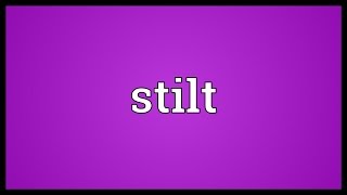 Stilt Meaning [upl. by Nehepts56]