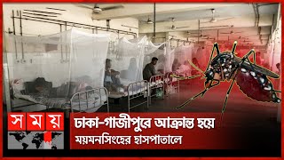 অক্টোবরে লাফিয়ে বাড়ছে ডেঙ্গু রোগী  Dengue Situation  October Month  Dengue Viras  Mymensingh [upl. by Carilla]