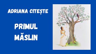 Primul măslin  Mit grecesc pe înțelesul copiilor  Editura Univers Enciclopedic adrianaciteste [upl. by Korman234]