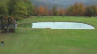 Birth of a Pond Time Lapse [upl. by Lina]