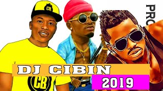 Dj Cibin Self Made Mix Intro 2019PDT EXCLUSIVE [upl. by Lunneta]