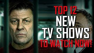 Top 12 Best New TV Shows to Watch Now [upl. by Nauqahs358]