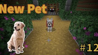 I bought a new pet dog in Minecraft  S2 E12 [upl. by Lilyan945]