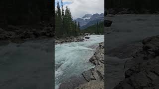 Mistaya Canyon Alberta alberta summer2024 mistayacanyon water river mistaya [upl. by Eide]