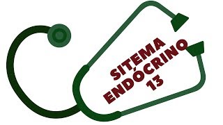 SISTEMA ENDÓCRINO 13 SUPRARENAL5RENINAANGIOTENSINAALDOSTERONA [upl. by Nickelsen]